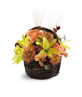 The Sensational Splendor Basket